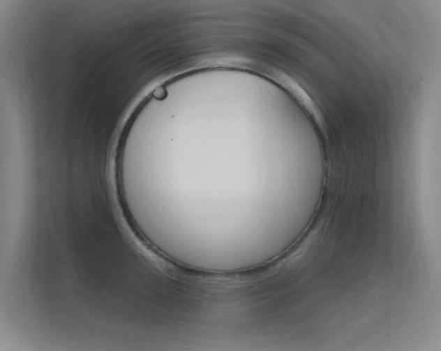 X0000112380947200908131321