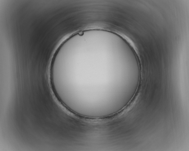 X0000112380949200908131321
