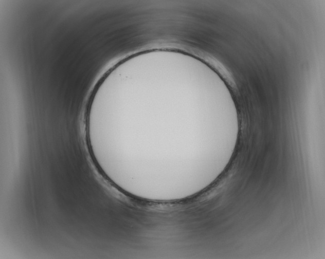 X0000112380950200908131321