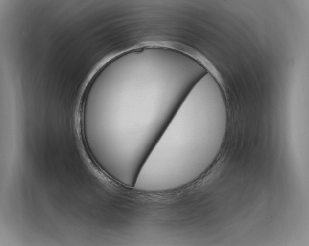 X0000112380955200908131321