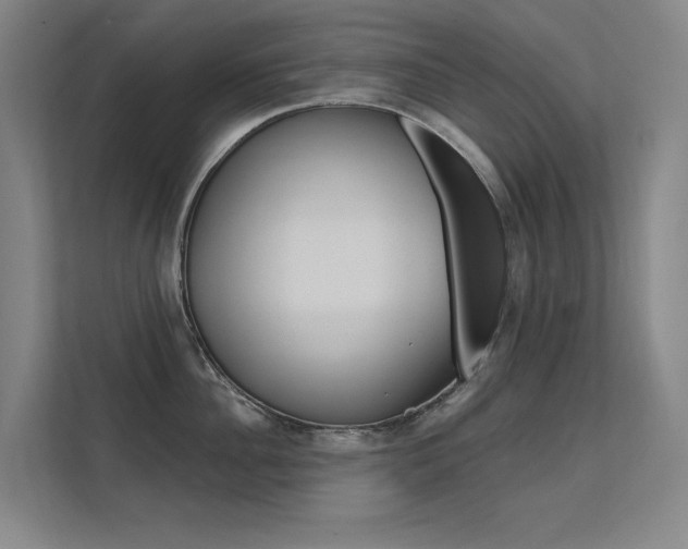 X0000112380956200908131321
