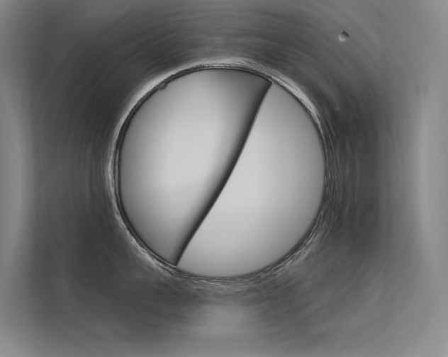 X0000112380959200908131321