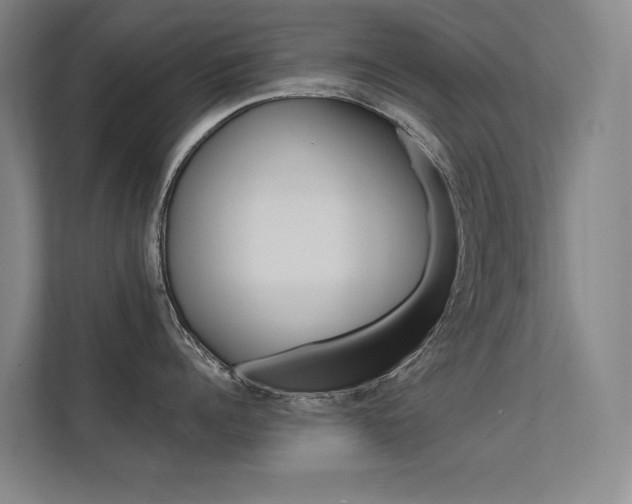 X0000112380960200908131321
