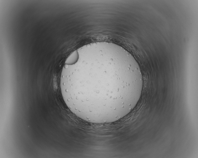 X0000112380962200908131320