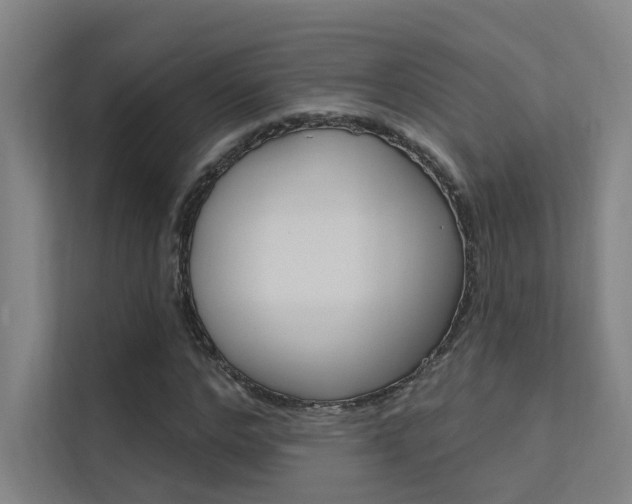 X0000112380968200908131320