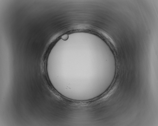 X0000112380970200908131320