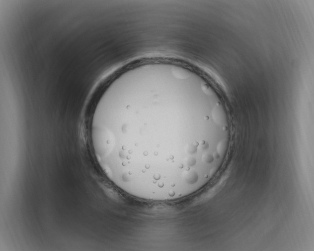 X0000112380974200908131320