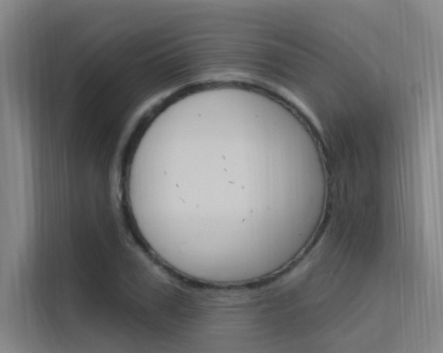 X0000112380979200908131320