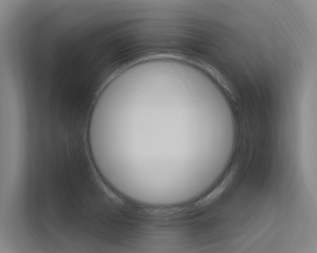 X0000112380985200908131320