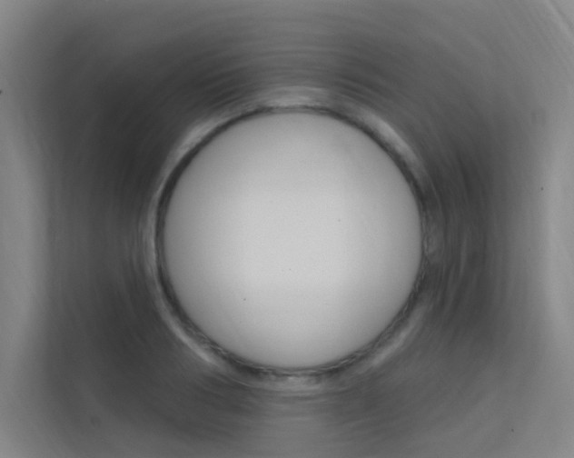 X0000112380986200908131320