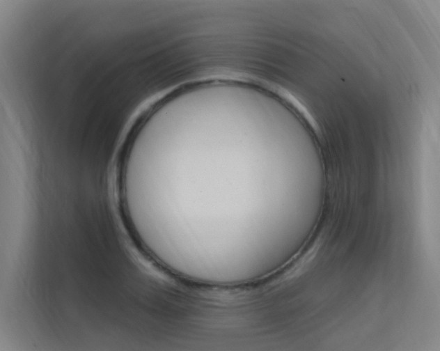 X0000112380987200908131320
