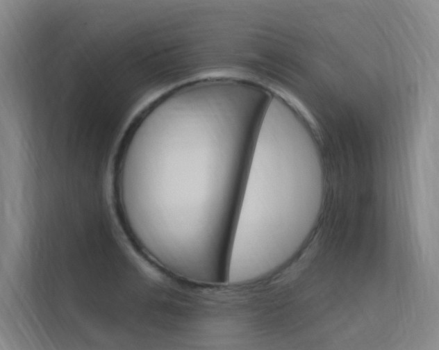 X0000112380991200908131320
