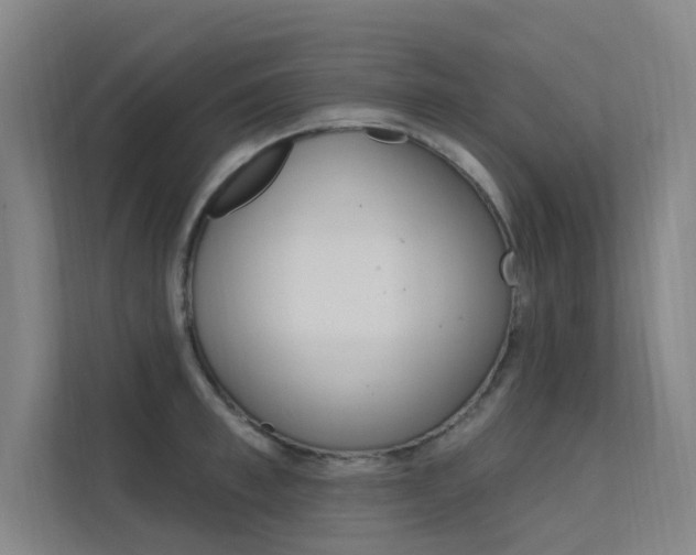 X0000112380997200908131320