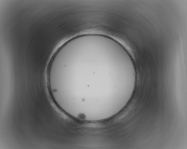 X0000112380998200908131320
