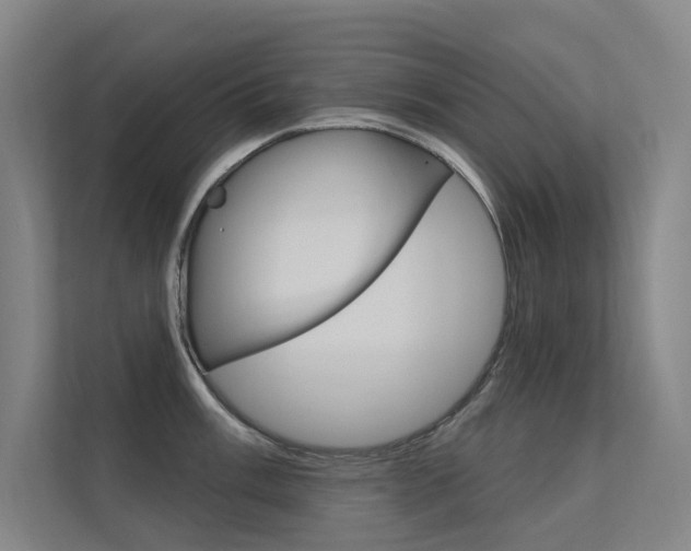 X0000112381003200908131320