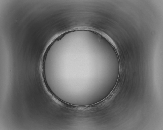 X0000112381005200908131320