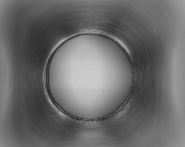 X0000112381007200908131320