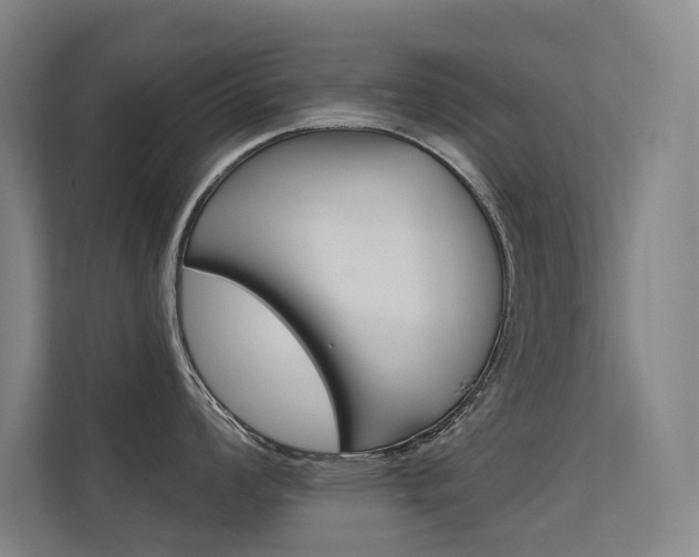 X0000112381008200908131320