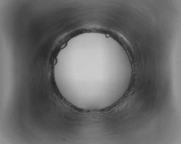 X0000112381016200908131319