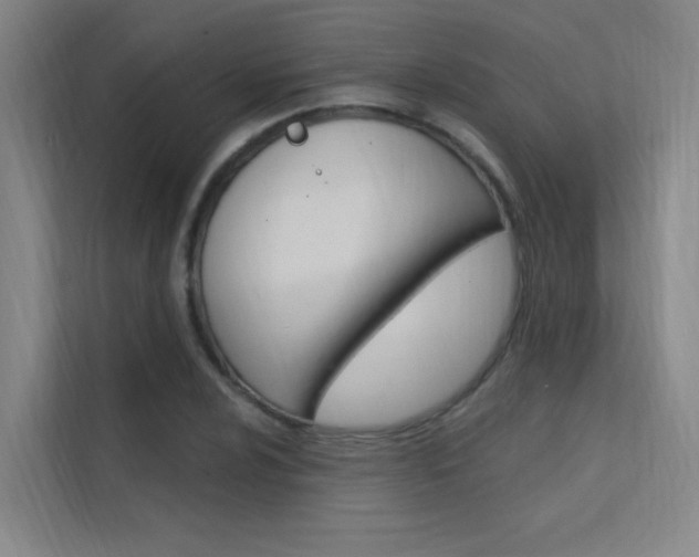 X0000112381024200908131319