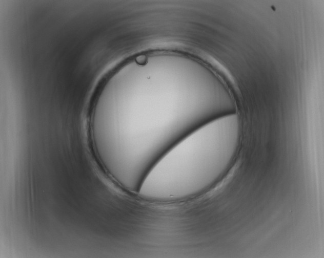 X0000112381029200908131319