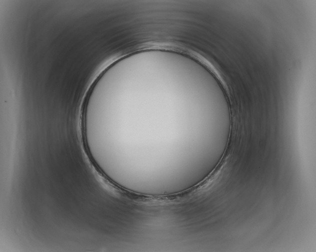 X0000112381050200908131320
