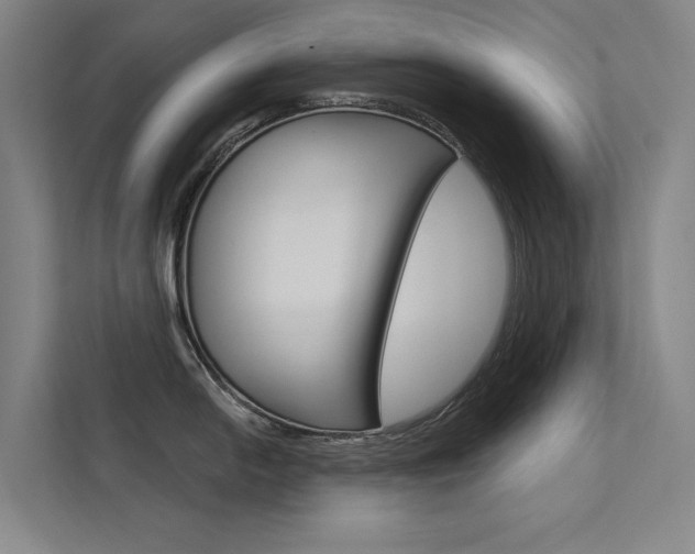 X0000112381054200908131320