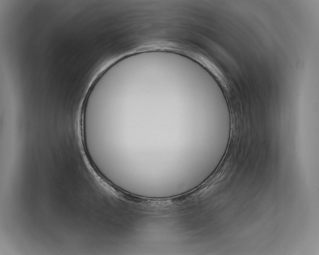 X0000112381055200908131320