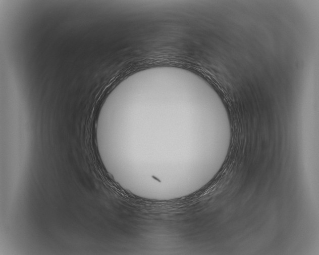 X0000112381057200908131319