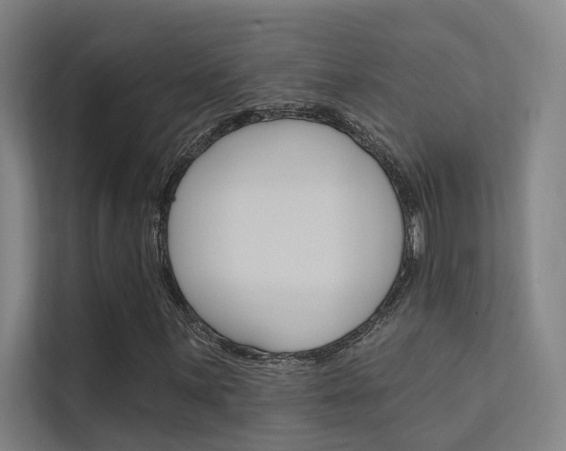 X0000112381059200908131319