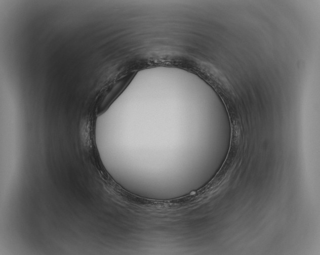 X0000112381060200908131319
