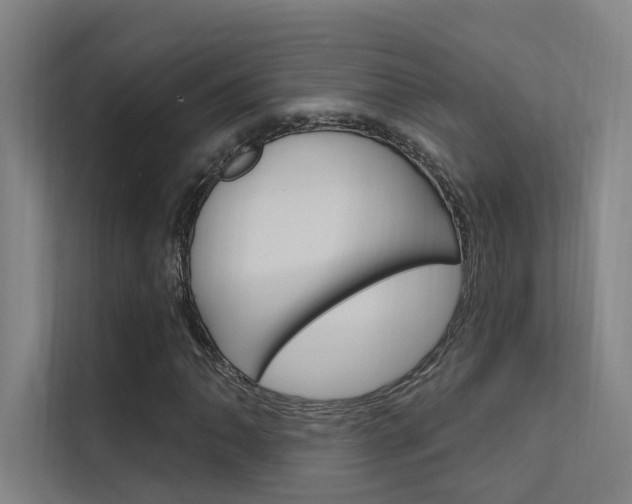 X0000112381062200908131319