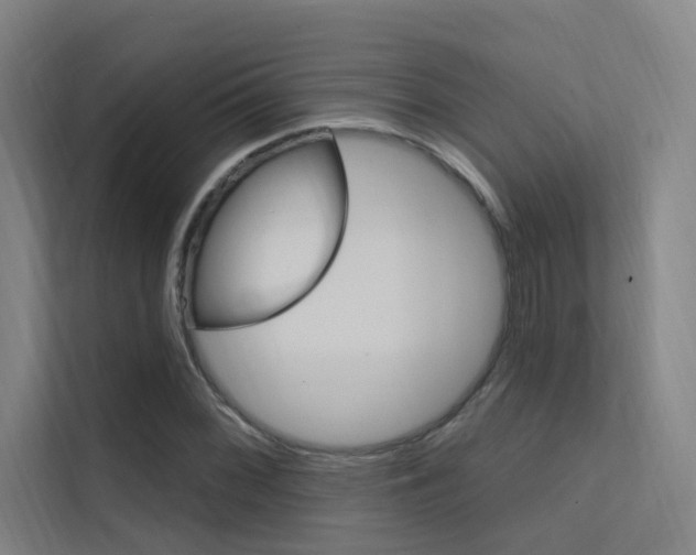 X0000112381068200908131319