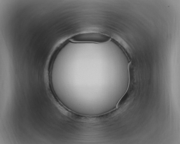 X0000112381072200908131319