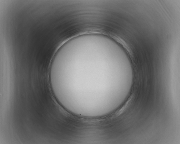 X0000112381081200908131319