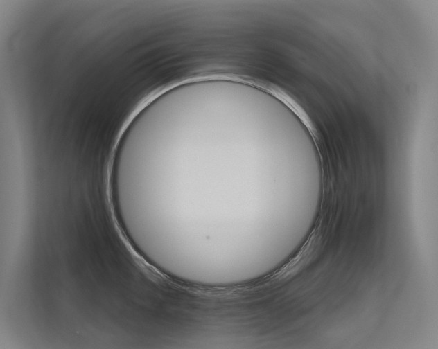 X0000112381101200908131319