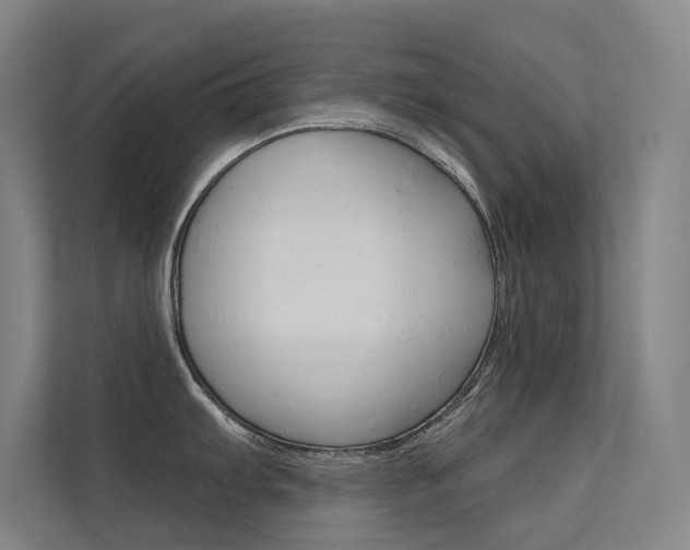 X0000112381103200908131319