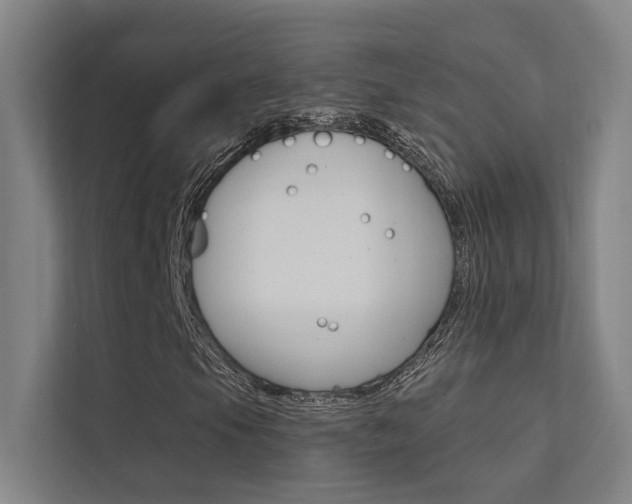X0000112381105200908131318