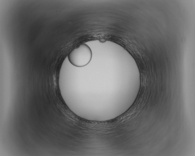 X0000112381106200908131318
