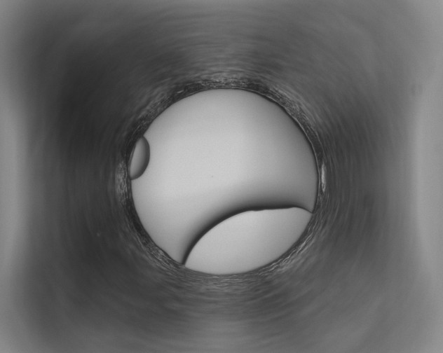 X0000112381107200908131318