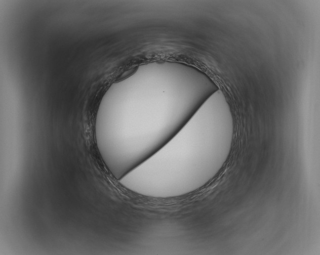 X0000112381109200908131318