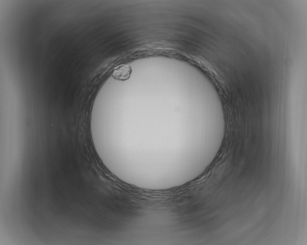 X0000112381110200908131318