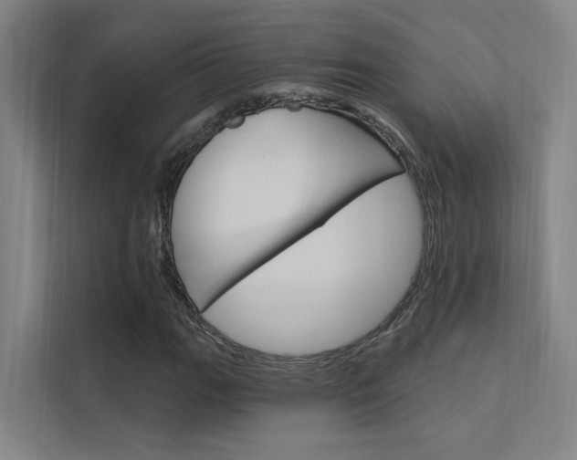X0000112381111200908131318