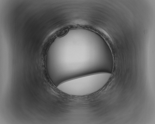 X0000112381112200908131318