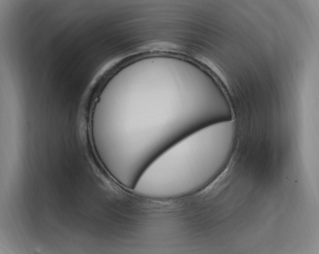 X0000112381115200908131318