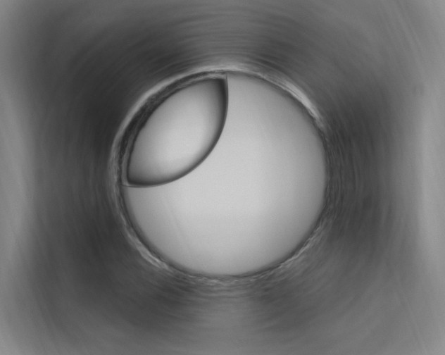 X0000112381116200908131318