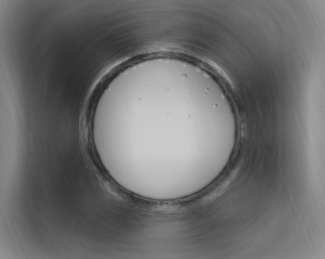 X0000112381117200908131318
