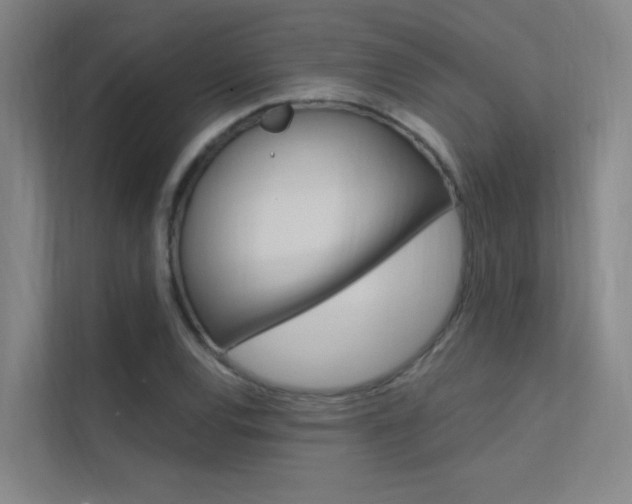 X0000112381120200908131318