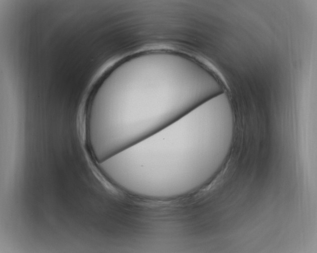 X0000112381127200908131318