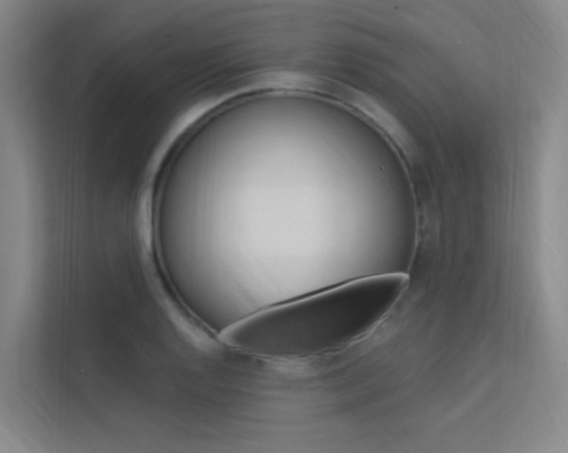 X0000112381128200908131318